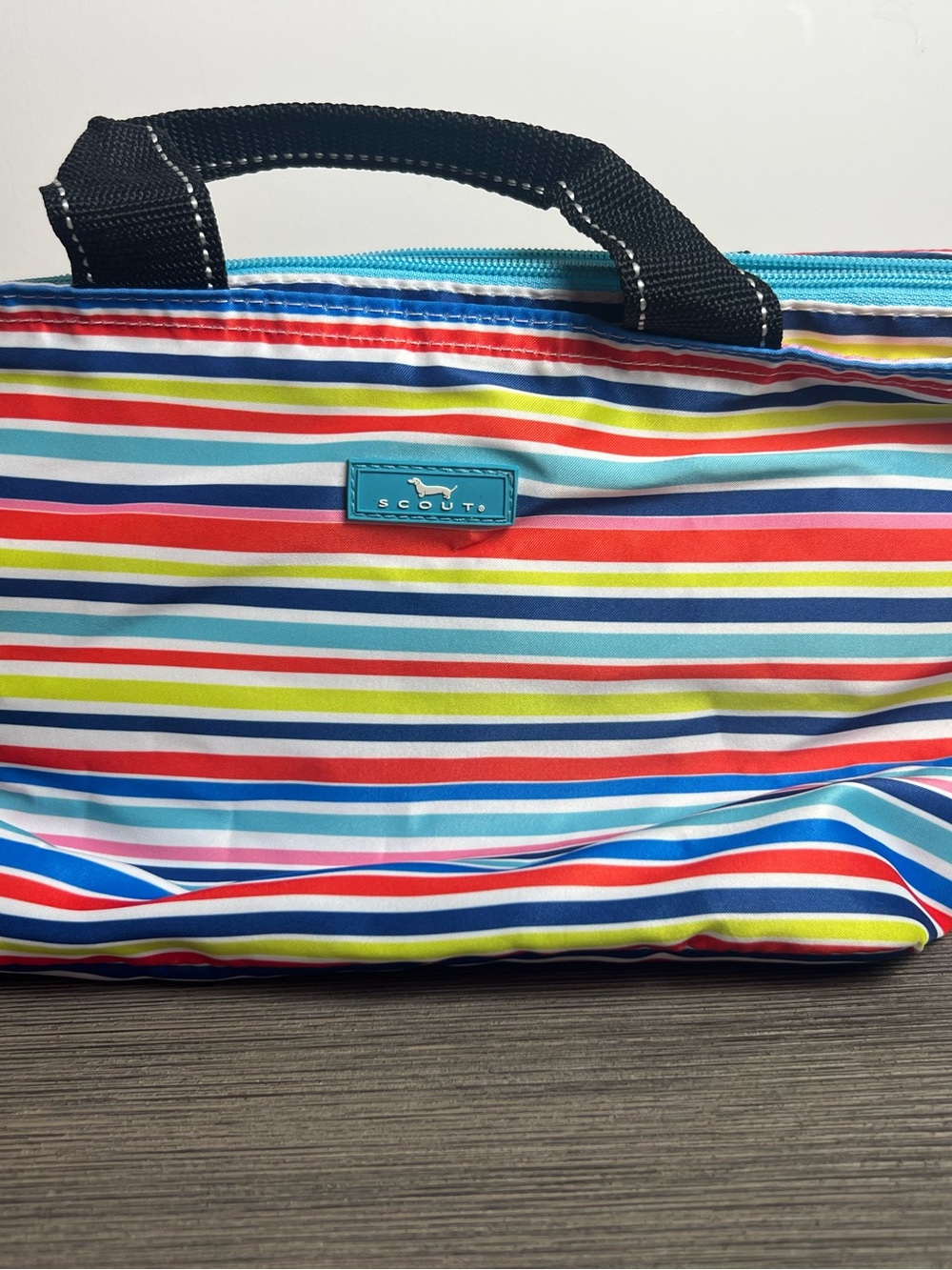 Scout Colorful Striped Tote nooner lunch bag